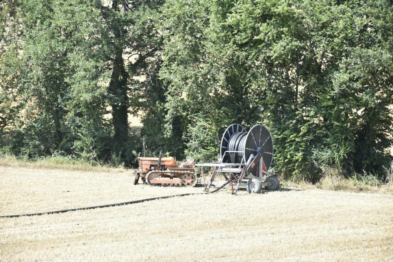 לסי Agriturismo Fattoria Del Colle מראה חיצוני תמונה