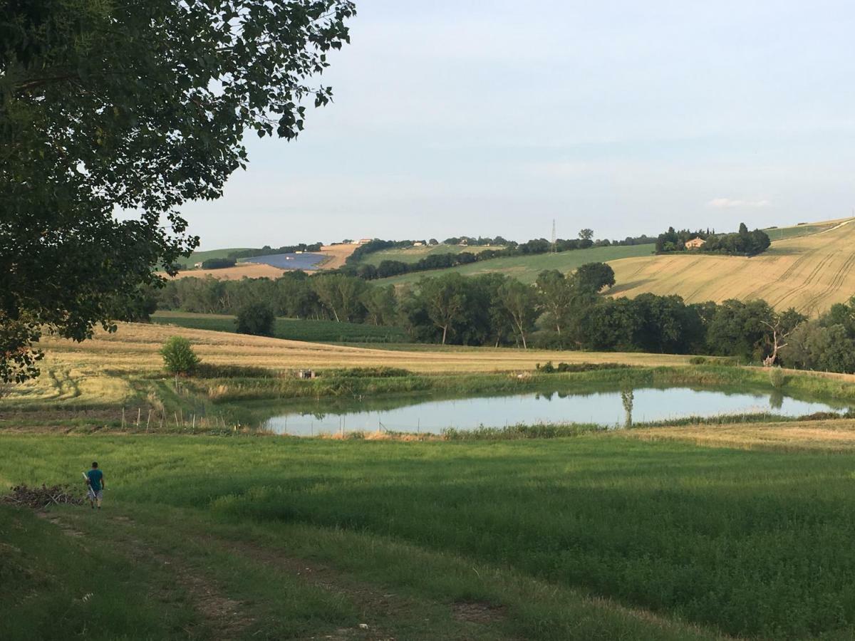 לסי Agriturismo Fattoria Del Colle מראה חיצוני תמונה