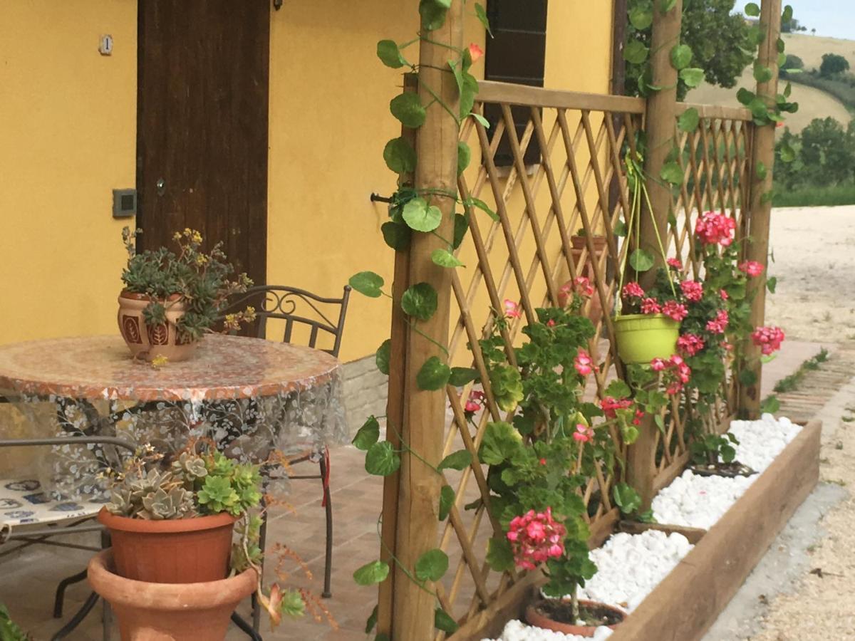 לסי Agriturismo Fattoria Del Colle מראה חיצוני תמונה